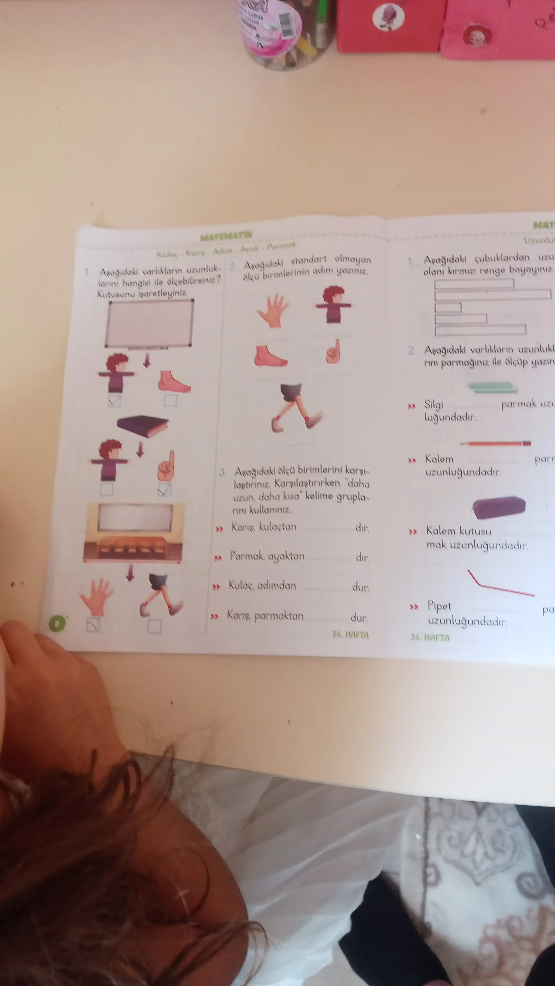 Melek Profil