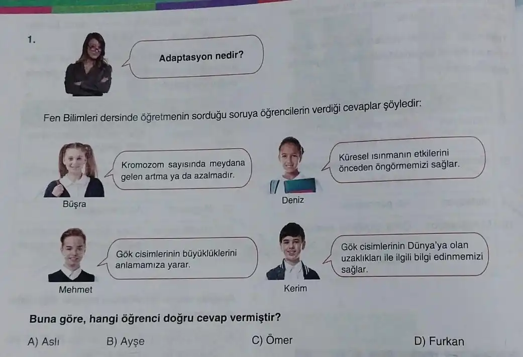 Ayse Profil